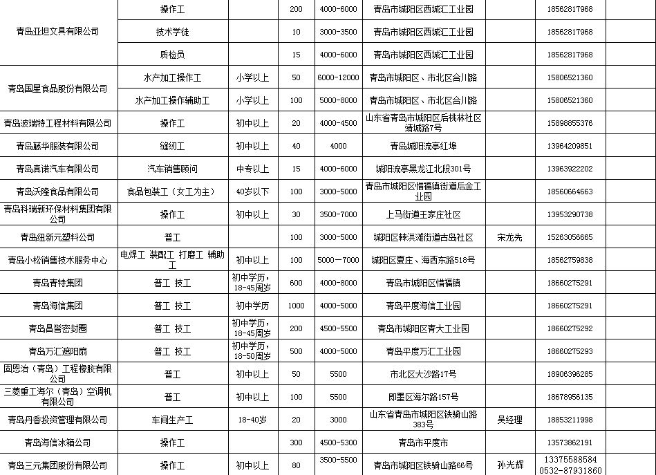 山东青岛最新招工信息全面解析