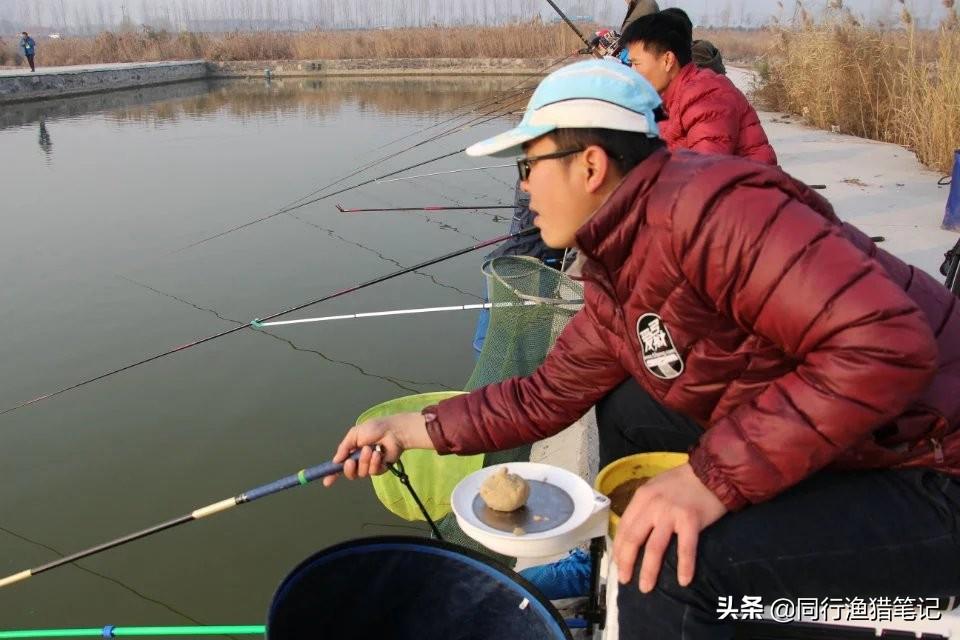 邯郸黑坑鱼讯更新，垂钓乐趣的新天地探索