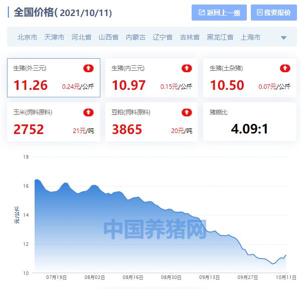 今日生猪涨跌表分析，最新动态与未来展望