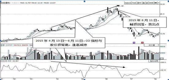 禾嘉股份最新消息全面解读与分析