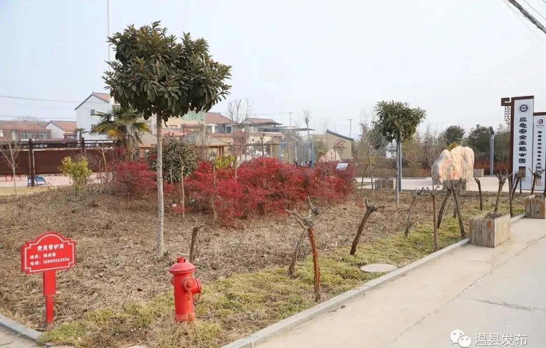 温县现代化城市交通网络新规划揭晓，打造全新道路系统